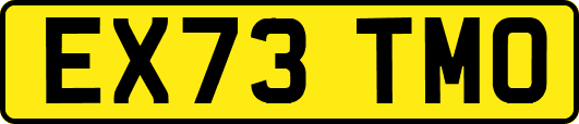 EX73TMO