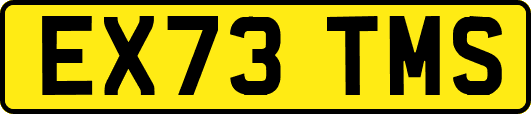 EX73TMS