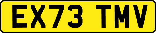 EX73TMV