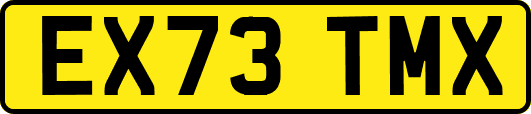 EX73TMX