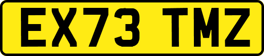 EX73TMZ