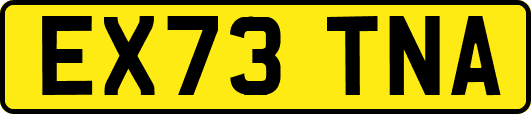 EX73TNA