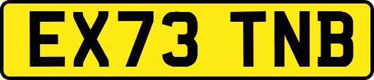 EX73TNB