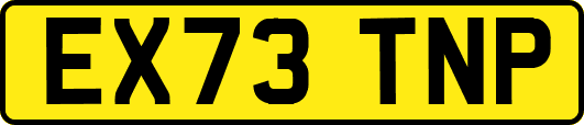 EX73TNP