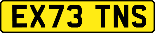 EX73TNS