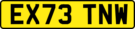 EX73TNW
