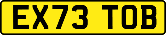 EX73TOB