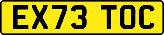 EX73TOC