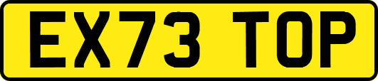 EX73TOP