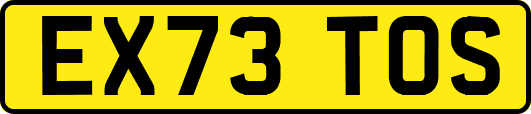 EX73TOS