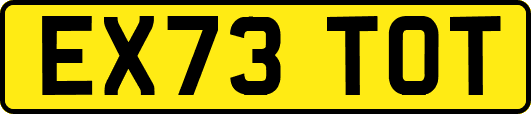 EX73TOT