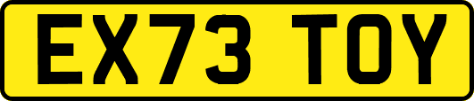 EX73TOY