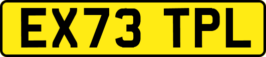 EX73TPL