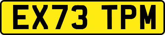 EX73TPM