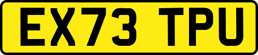 EX73TPU