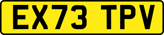 EX73TPV