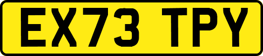 EX73TPY