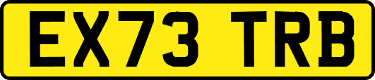EX73TRB