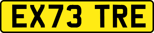 EX73TRE