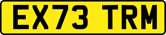 EX73TRM