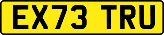 EX73TRU