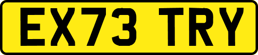 EX73TRY