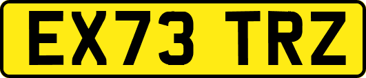 EX73TRZ