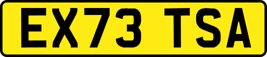 EX73TSA