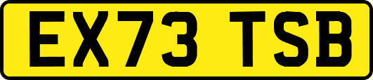 EX73TSB