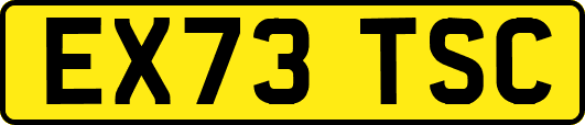 EX73TSC