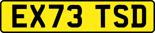 EX73TSD