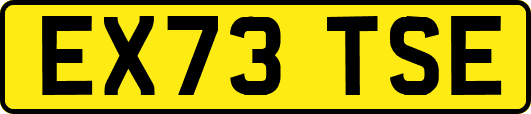 EX73TSE