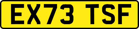 EX73TSF