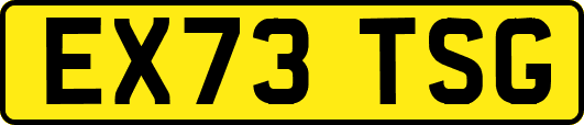 EX73TSG