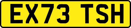 EX73TSH