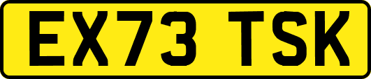 EX73TSK