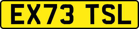 EX73TSL