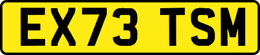 EX73TSM