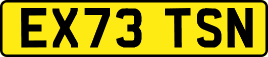EX73TSN