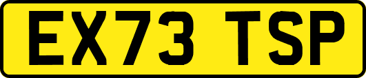 EX73TSP