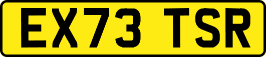 EX73TSR