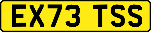 EX73TSS