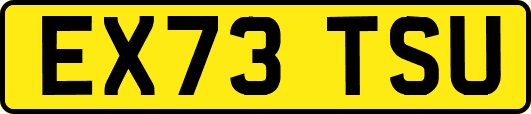 EX73TSU