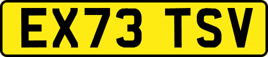 EX73TSV