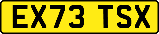 EX73TSX