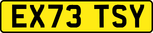 EX73TSY