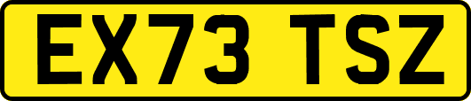 EX73TSZ