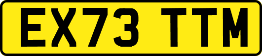 EX73TTM