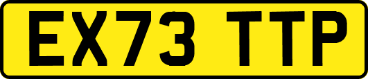 EX73TTP