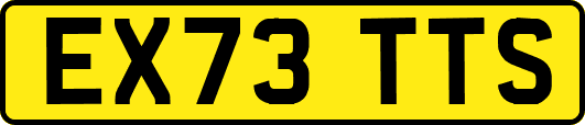 EX73TTS